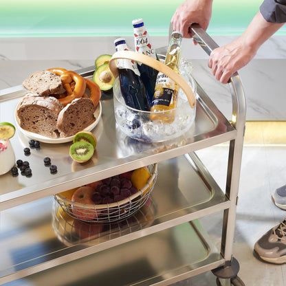 Stainless Steel Serving Trolley