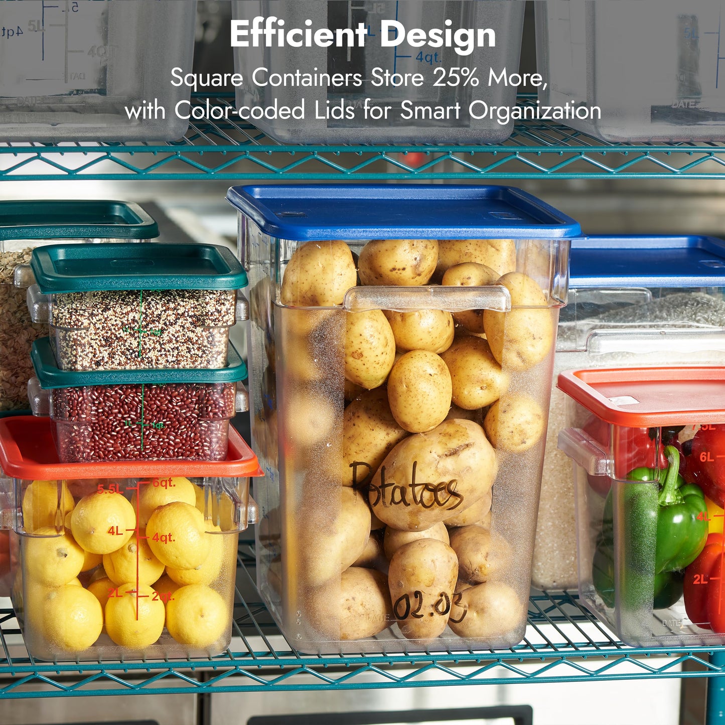 Square Food Storage Container